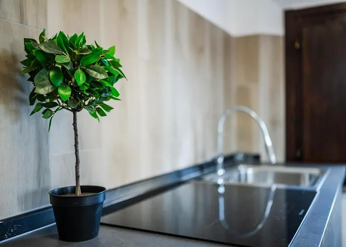 Panzió Maserati House - H24 3*